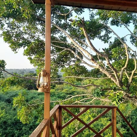 Hotel Leopard Nest - Glamping In Yala Extérieur photo