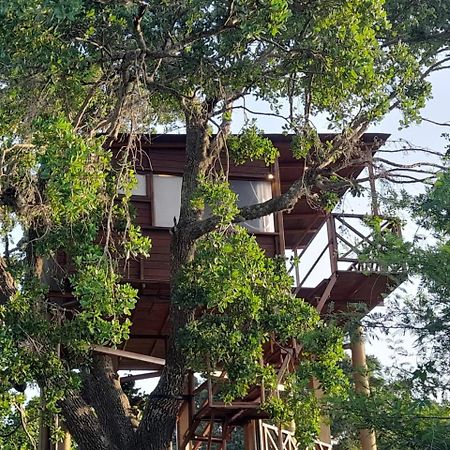 Hotel Leopard Nest - Glamping In Yala Extérieur photo