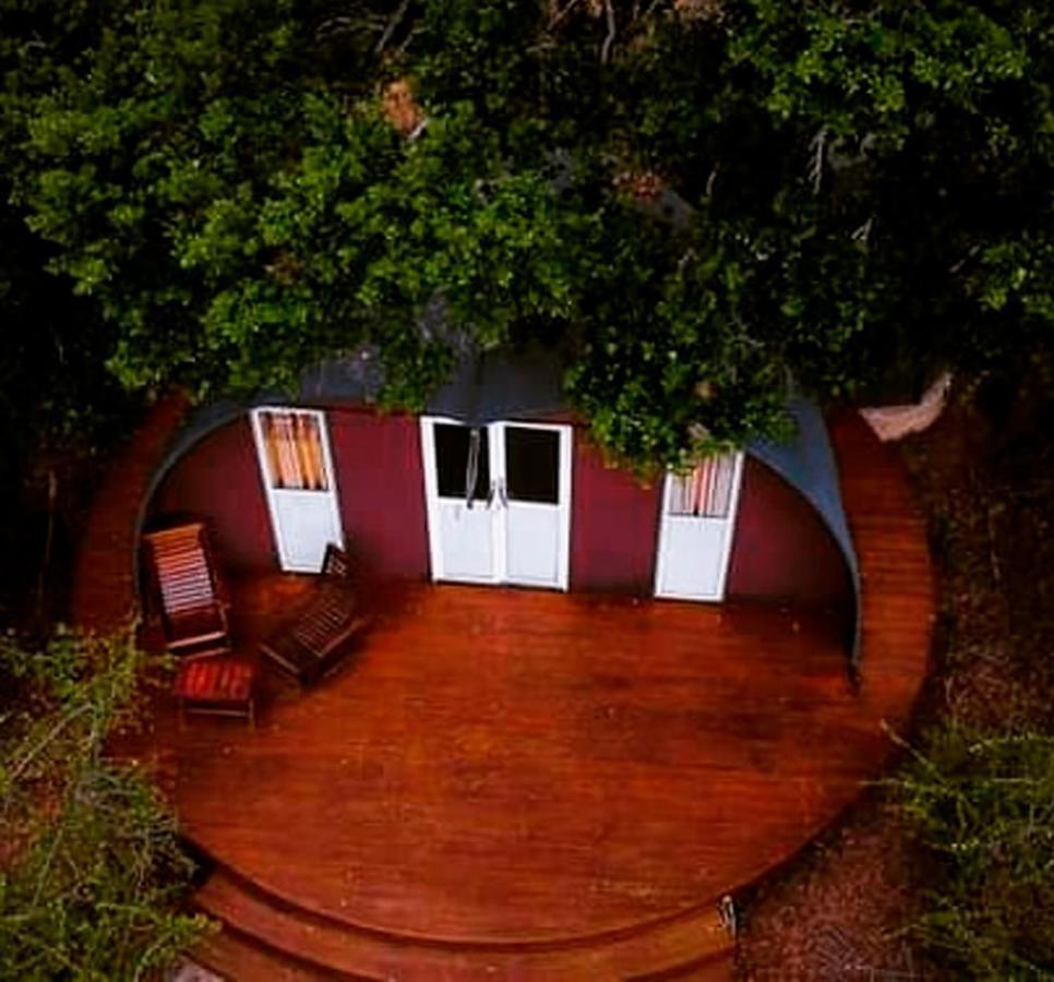 Hotel Leopard Nest - Glamping In Yala Extérieur photo