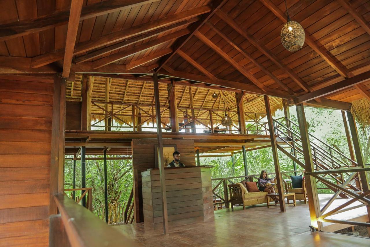 Hotel Leopard Nest - Glamping In Yala Extérieur photo