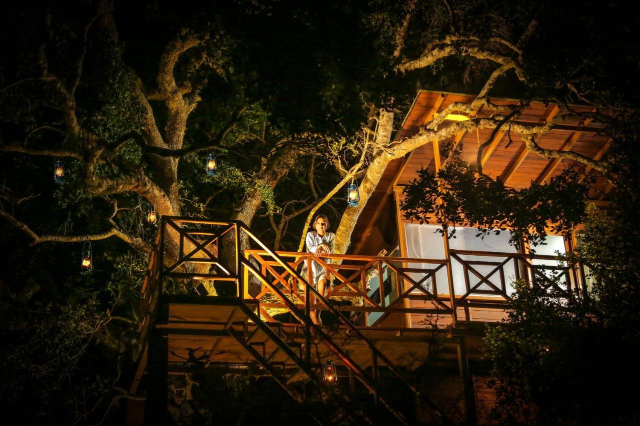 Hotel Leopard Nest - Glamping In Yala Extérieur photo