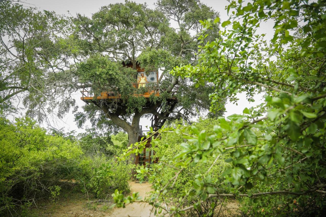 Hotel Leopard Nest - Glamping In Yala Extérieur photo