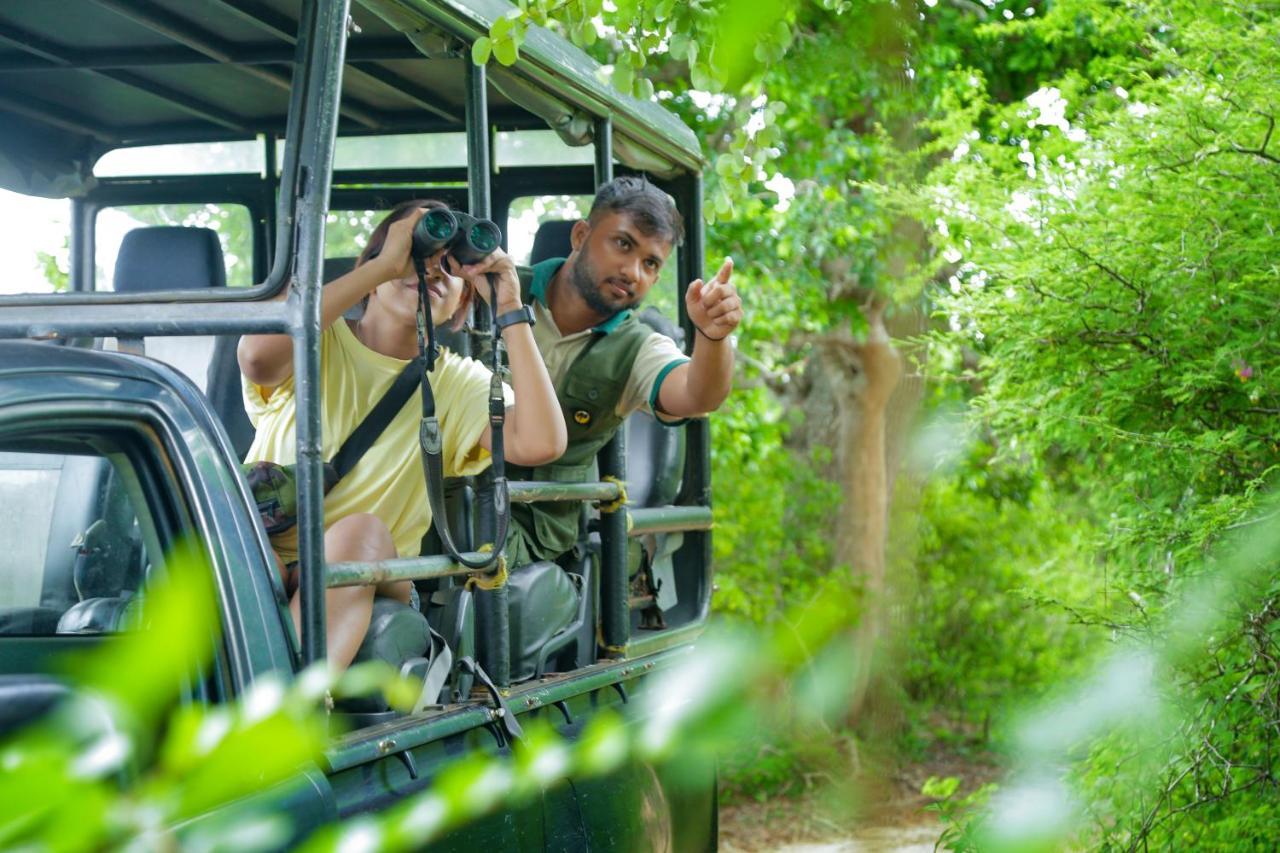 Hotel Leopard Nest - Glamping In Yala Extérieur photo