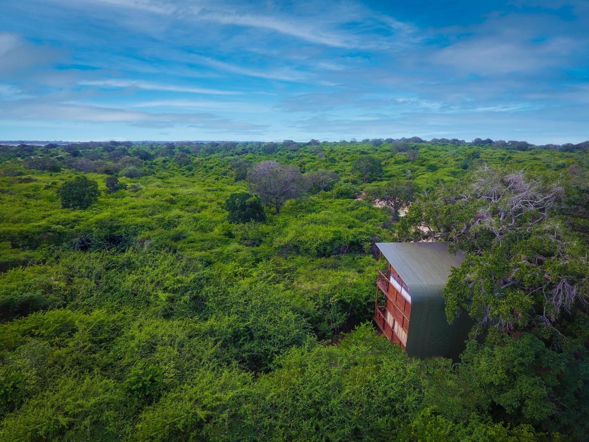 Hotel Leopard Nest - Glamping In Yala Extérieur photo