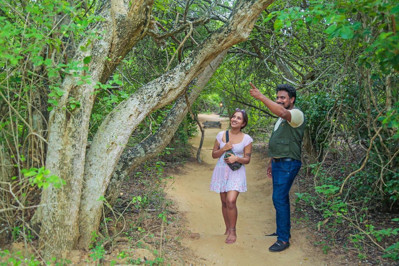 Hotel Leopard Nest - Glamping In Yala Extérieur photo