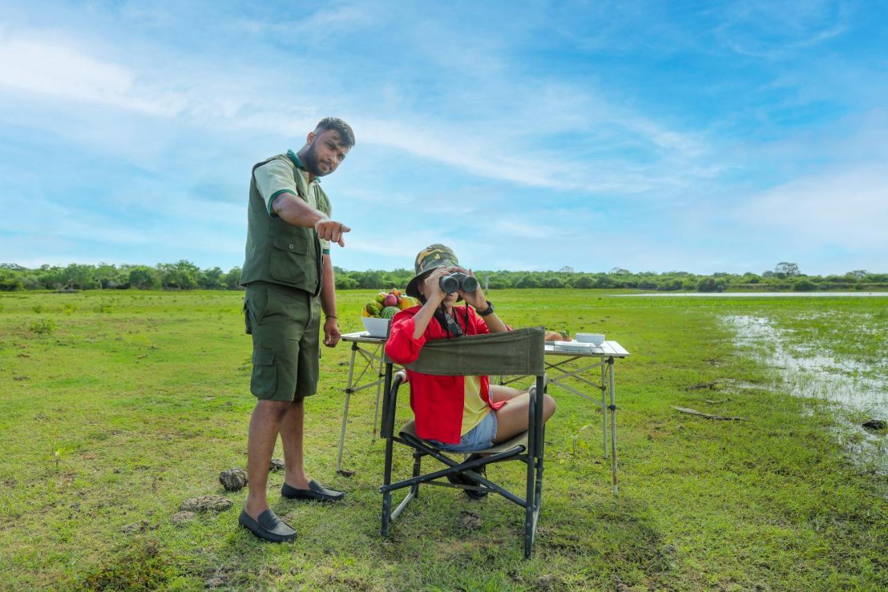 Hotel Leopard Nest - Glamping In Yala Extérieur photo