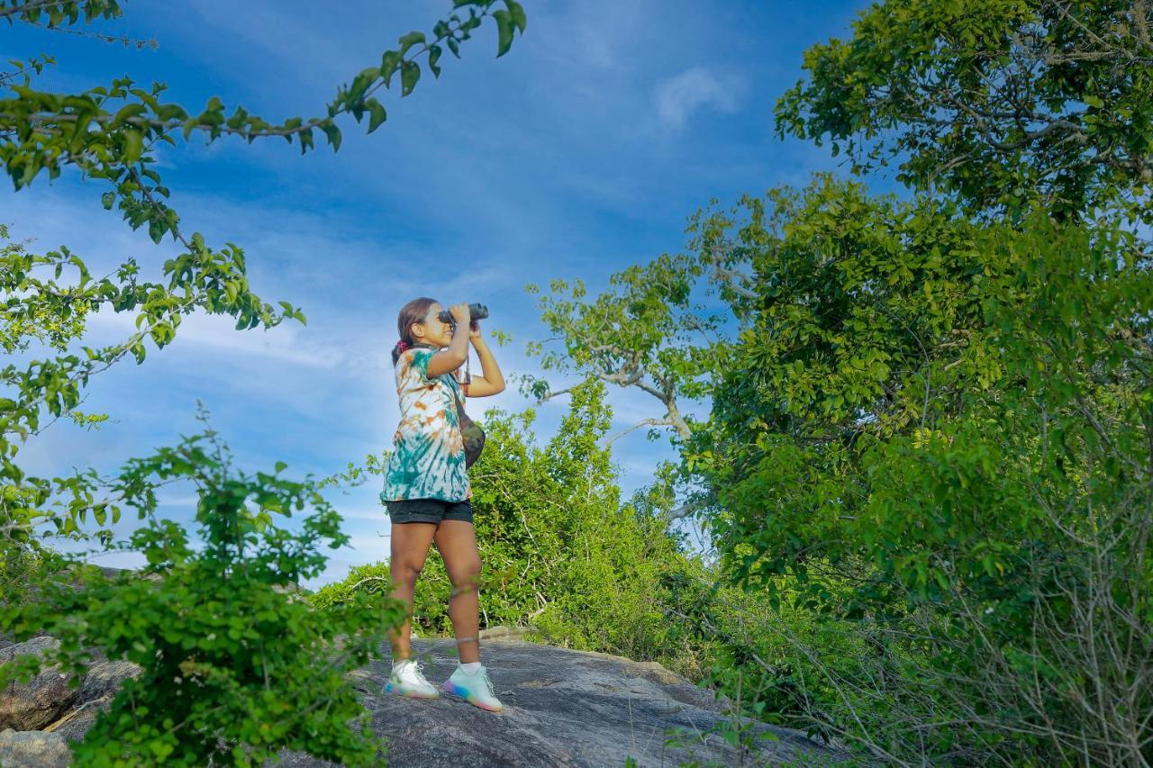 Hotel Leopard Nest - Glamping In Yala Extérieur photo