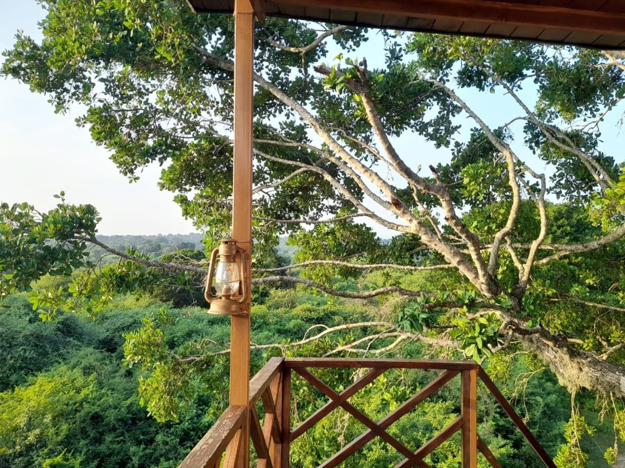 Hotel Leopard Nest - Glamping In Yala Extérieur photo