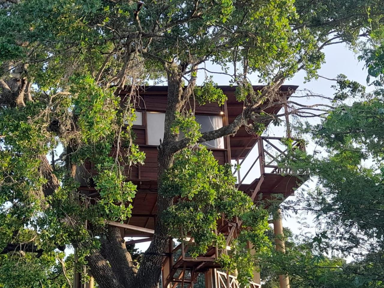 Hotel Leopard Nest - Glamping In Yala Extérieur photo