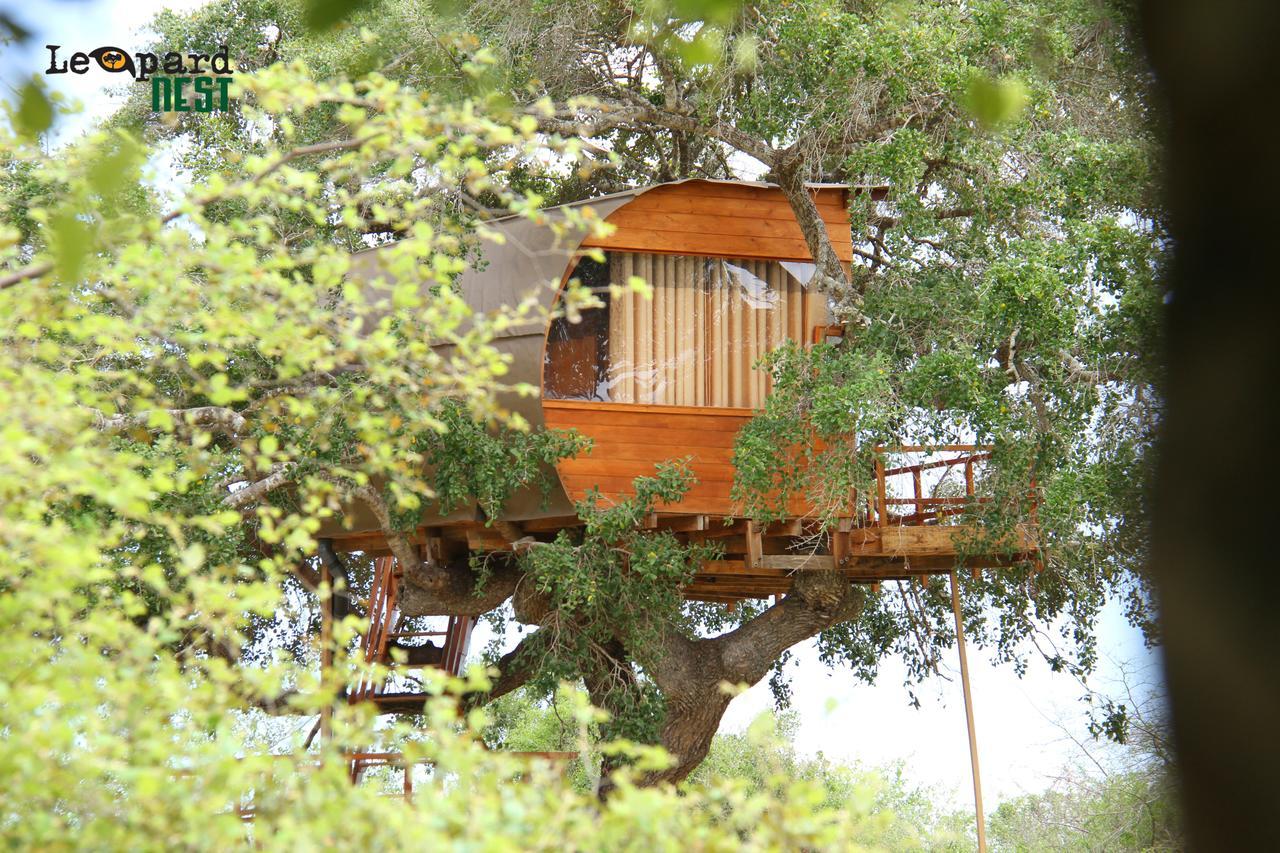 Hotel Leopard Nest - Glamping In Yala Extérieur photo