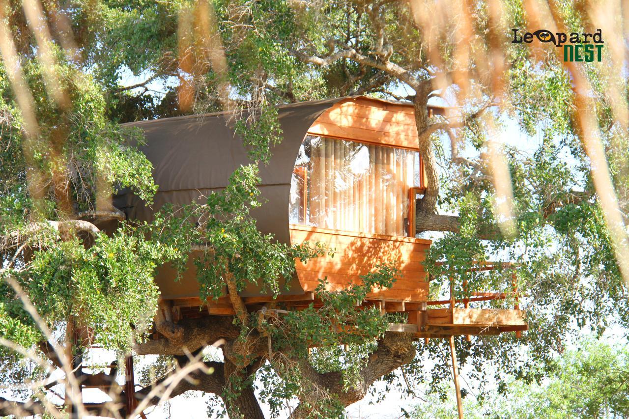 Hotel Leopard Nest - Glamping In Yala Extérieur photo