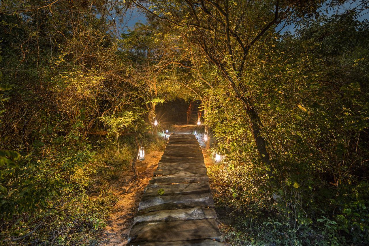 Hotel Leopard Nest - Glamping In Yala Extérieur photo