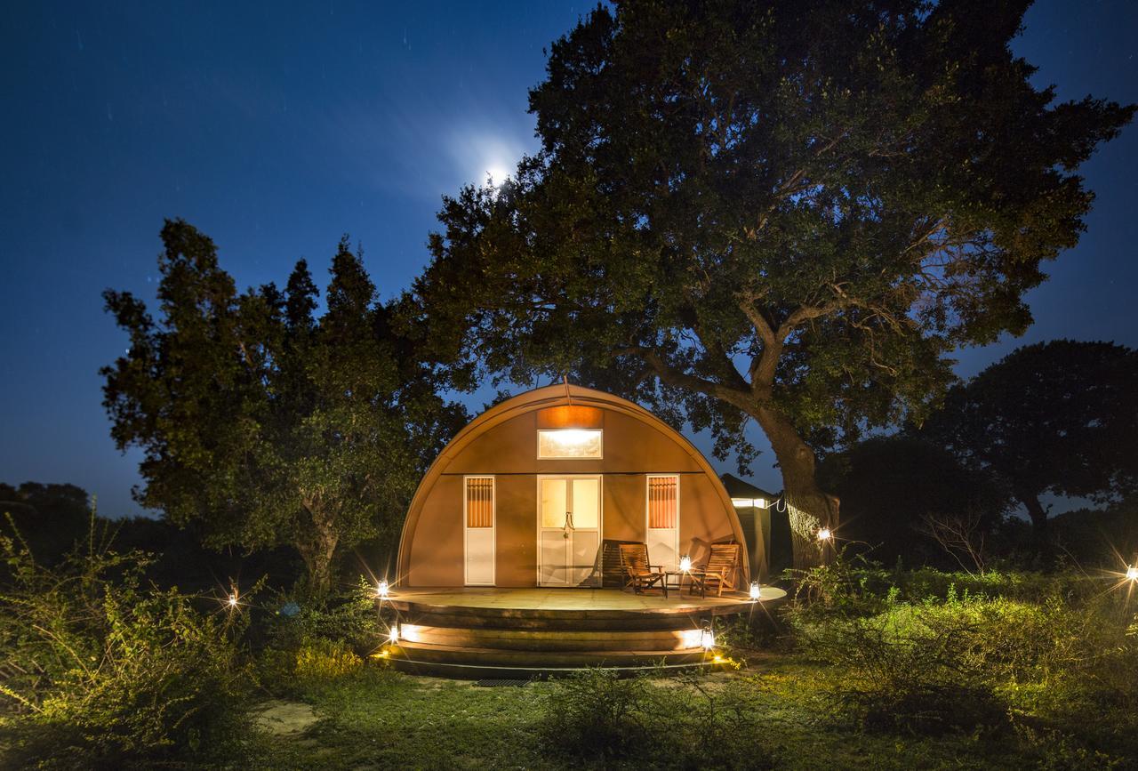 Hotel Leopard Nest - Glamping In Yala Extérieur photo