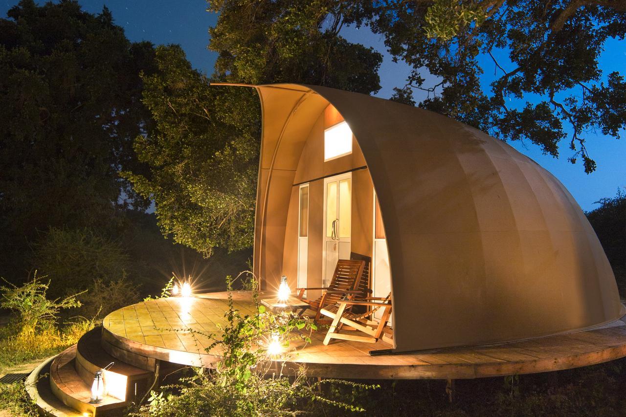 Hotel Leopard Nest - Glamping In Yala Extérieur photo