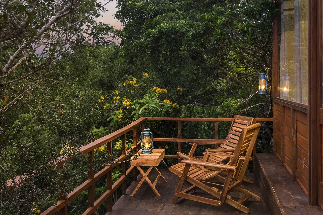 Hotel Leopard Nest - Glamping In Yala Extérieur photo