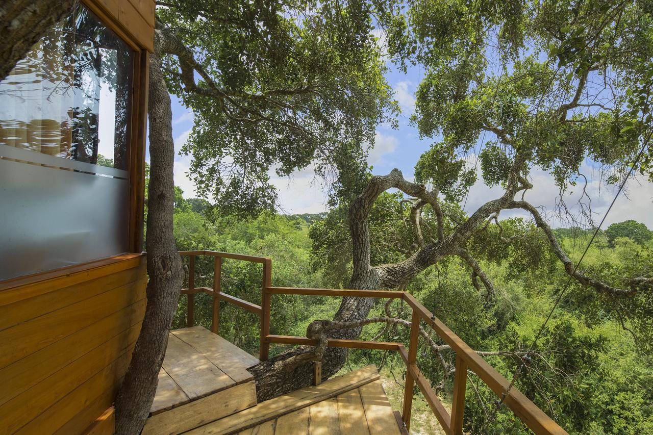 Hotel Leopard Nest - Glamping In Yala Extérieur photo