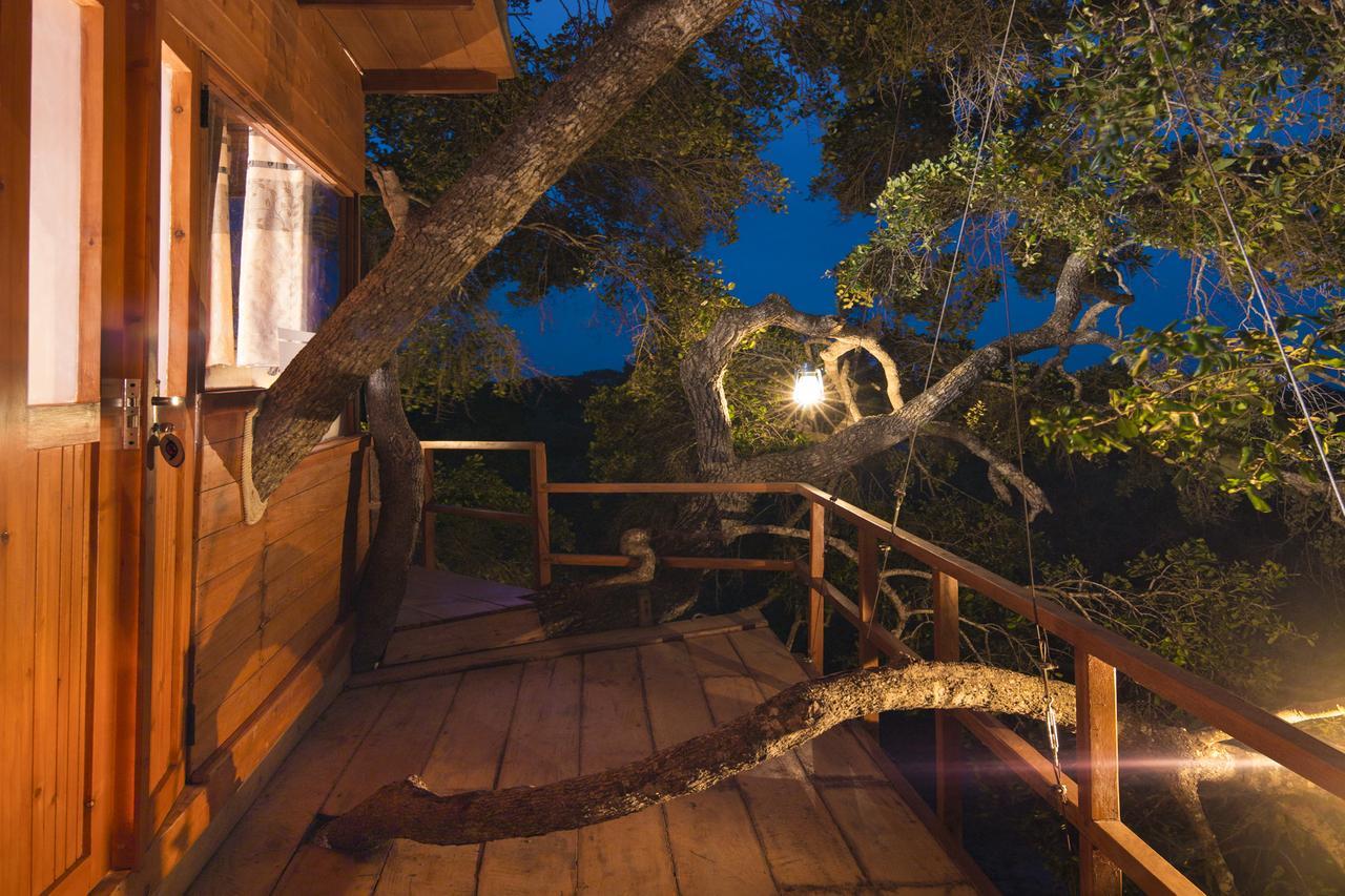 Hotel Leopard Nest - Glamping In Yala Extérieur photo